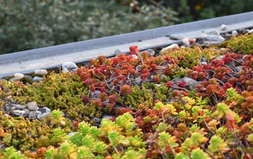 the cost of Hillbourne green roof installation