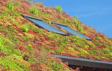 Hillbourne living roof systems