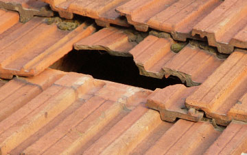 roof repair Hillbourne, Dorset