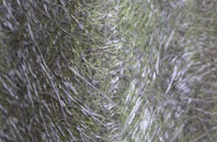 Hillbourne fibreglass roof work